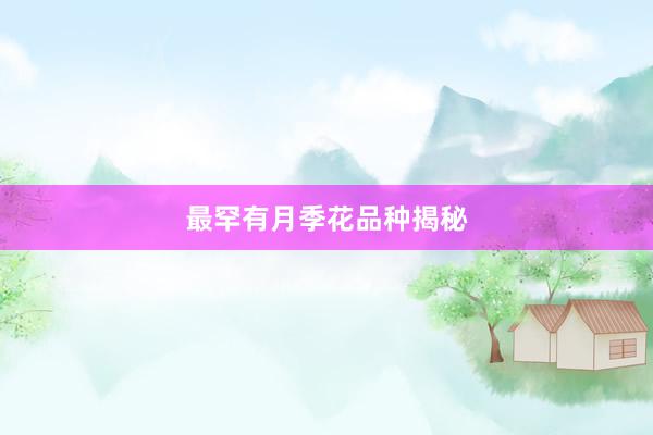 最罕有月季花品种揭秘